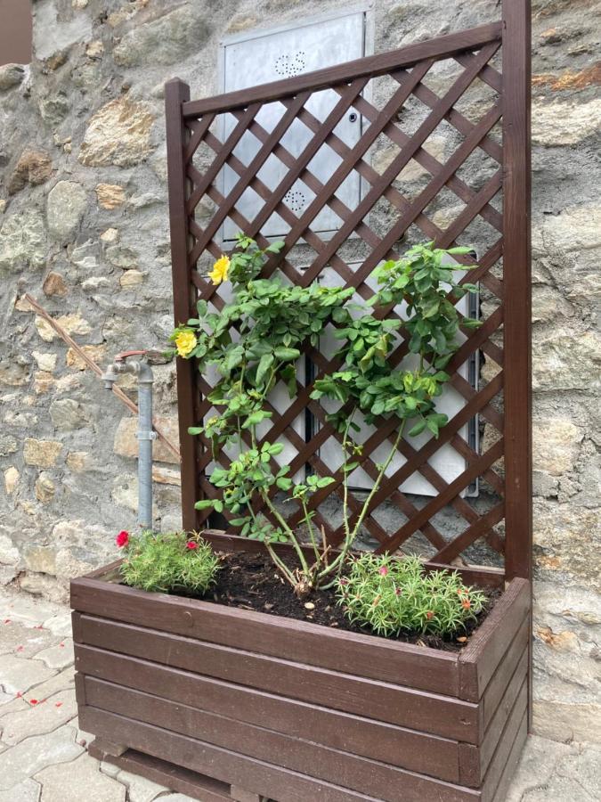 Senin House Vila Aosta Exterior foto